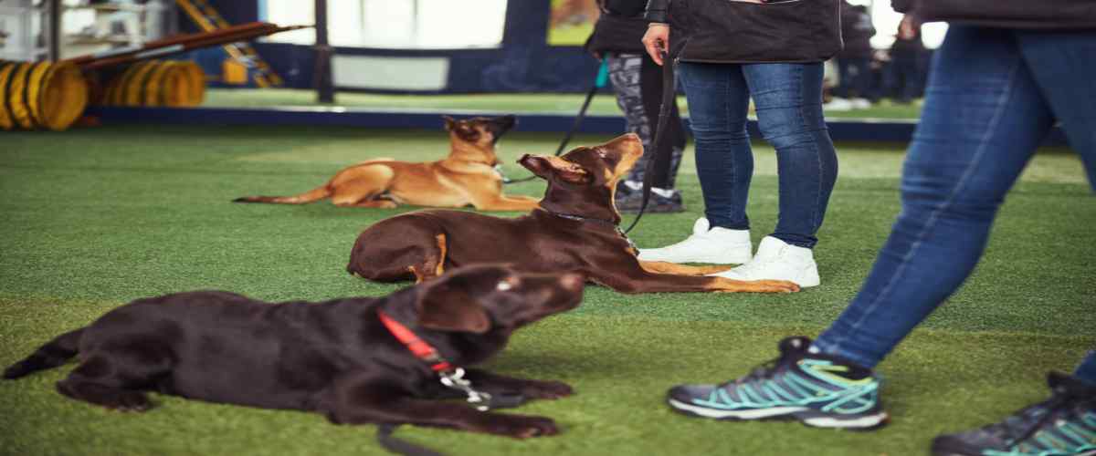 10 Resident Engagement Ideas: Building Community in Apartment Societies