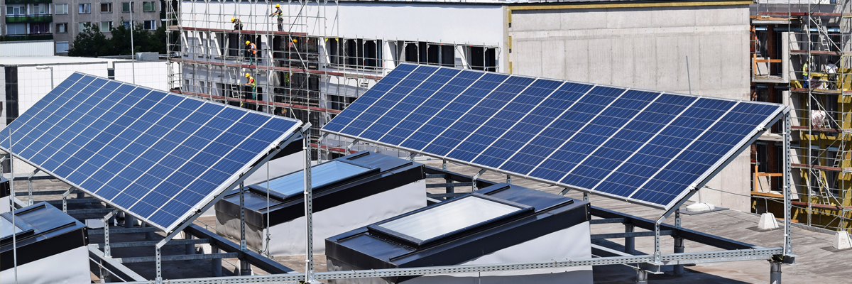 Rooftop Farming, A Hit During COVID-19. Grow your own!